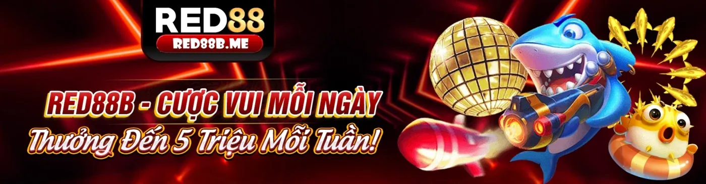 Sảnh đá gà trực tuyến 8live với các trận đấu đỉnh cao